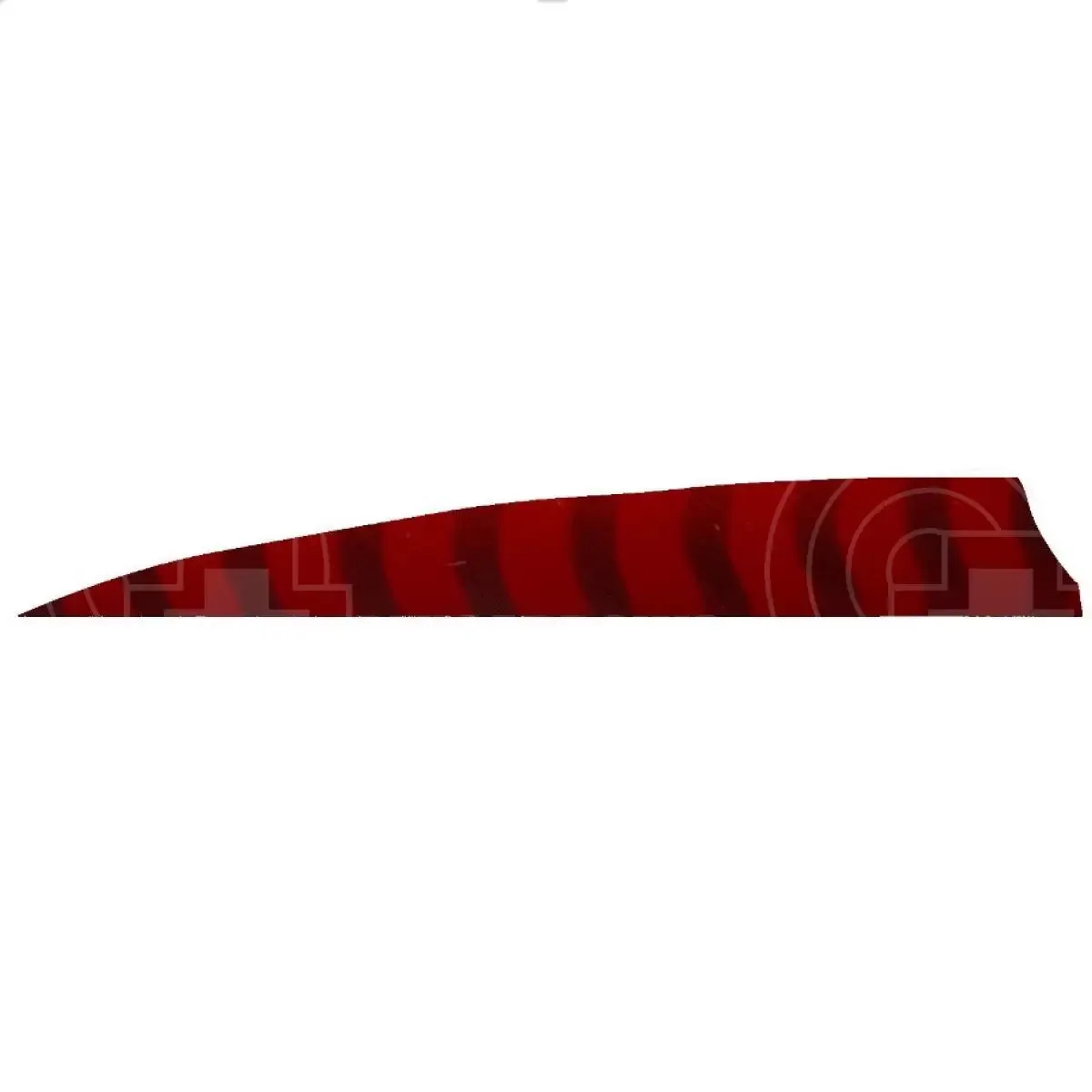 4.0” Barred Feathers Shield Cut (RW)