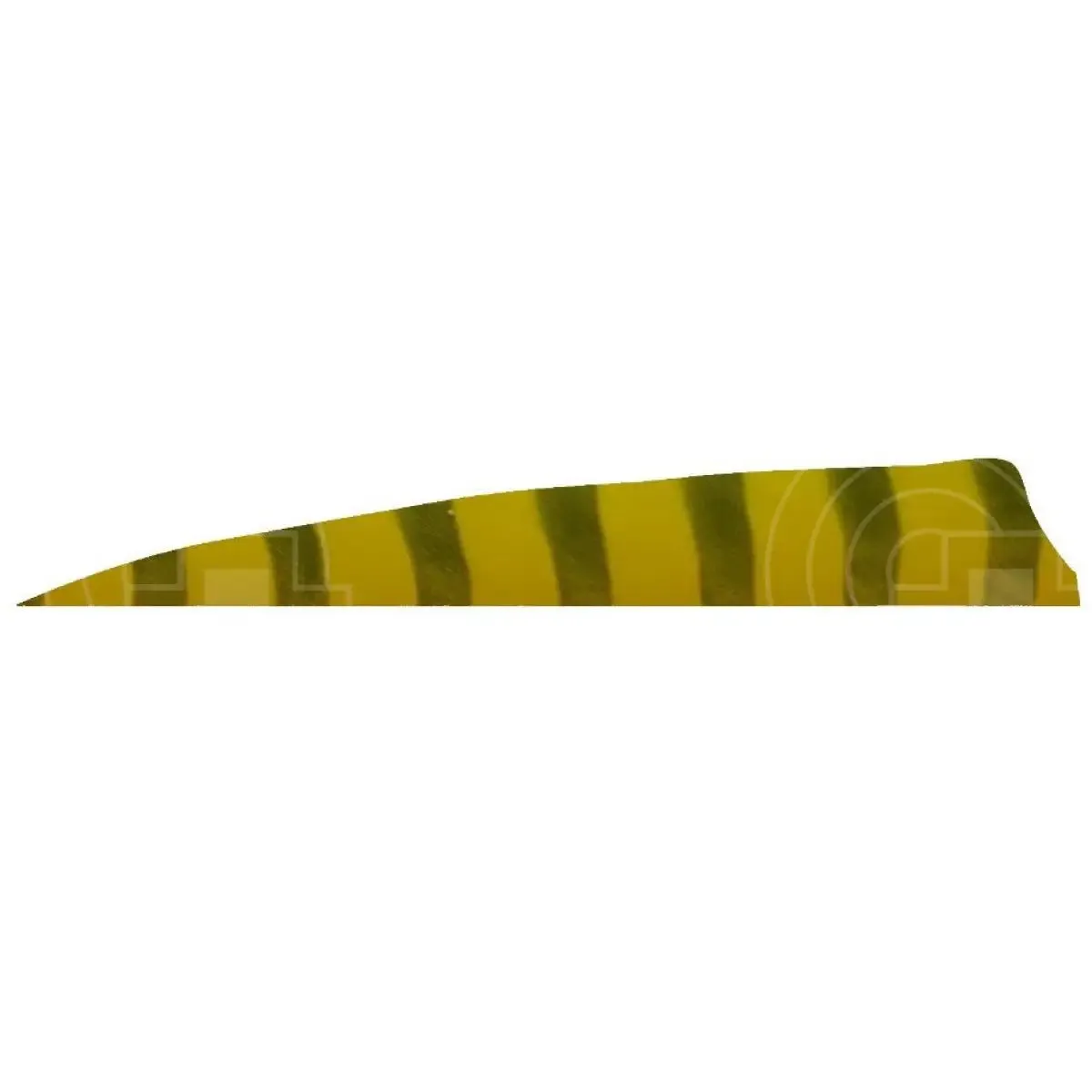 4.0” Barred Feathers Shield Cut (RW)