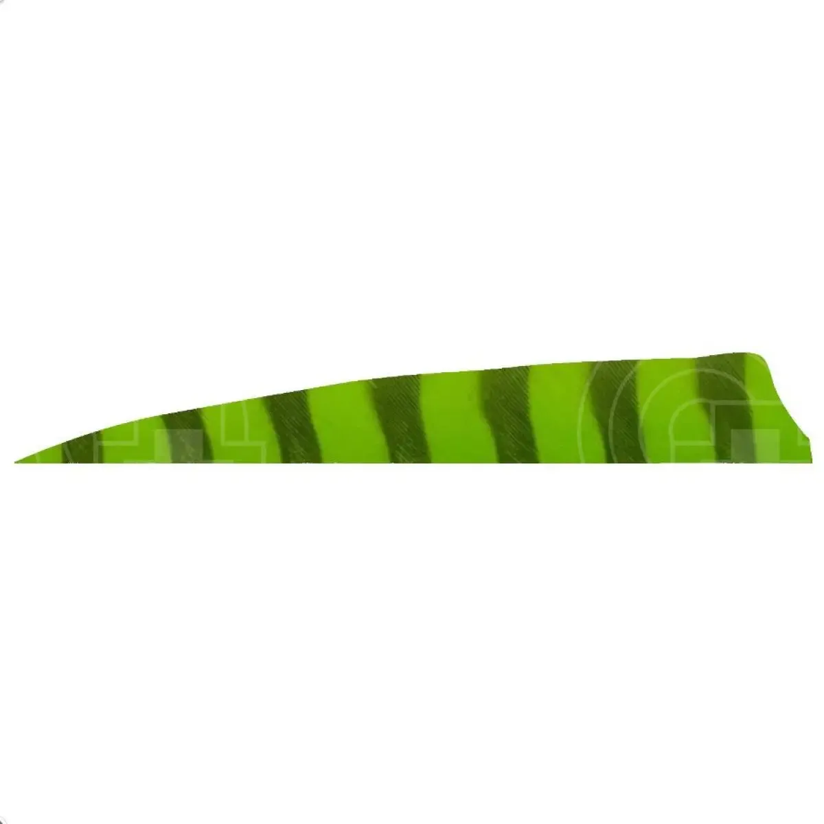 4.0” Barred Feathers Shield Cut (RW)