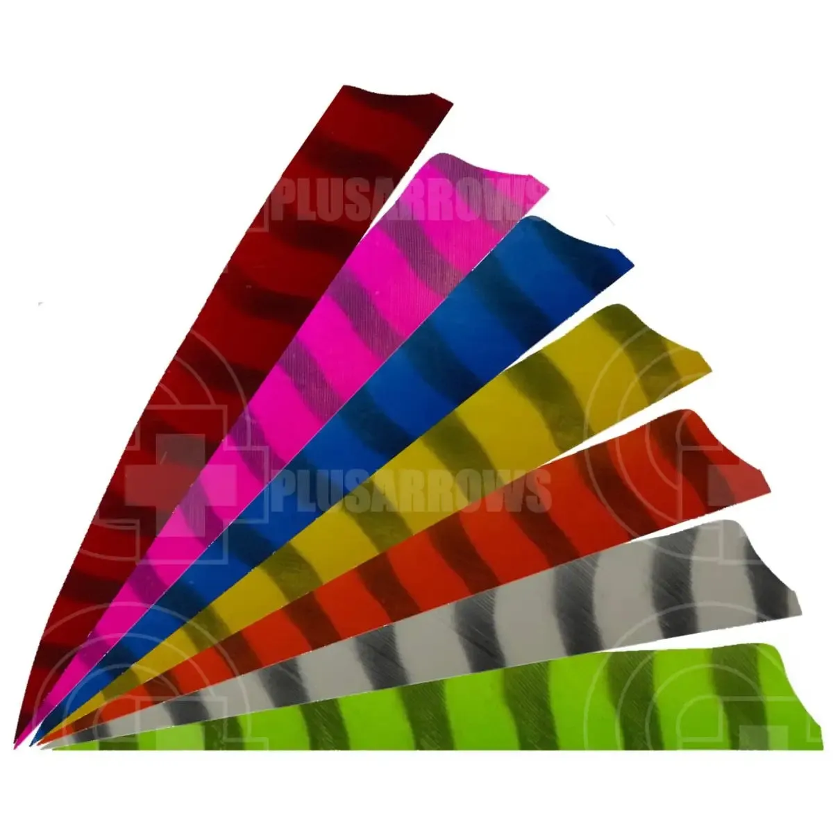 4.0” Barred Feathers Shield Cut (RW)