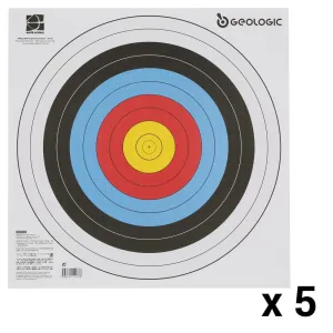 5 BLASONS TIR A L'ARC 40X40 cm