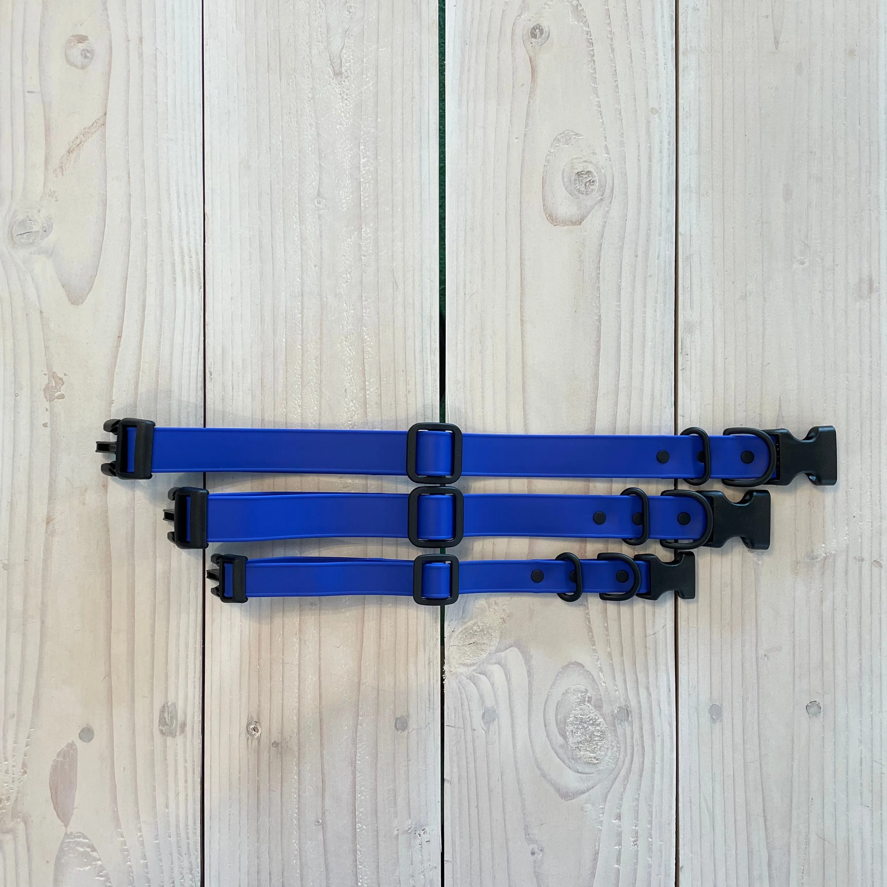 Adjustable Waterproof Collar : Royal   Black
