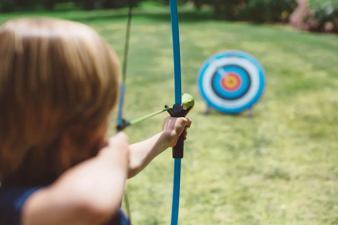 Archery Arrows Twin-Pack Discosoft