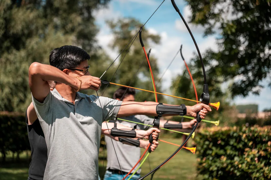 Archery Arrows Twin-Pack Discosoft