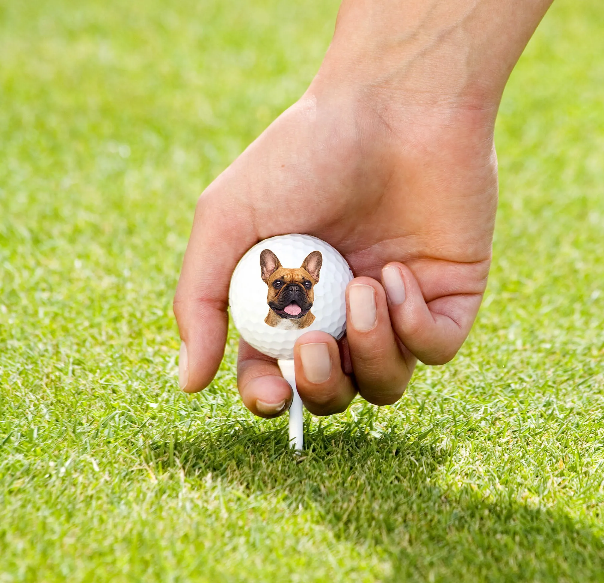 Dog Face Golf Balls - Set of 3 Balls