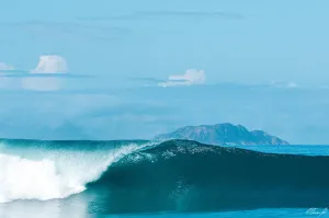 Domes Left