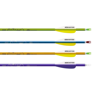 Easton Genesis 1820 Arrows