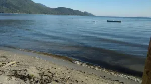 Maciambu