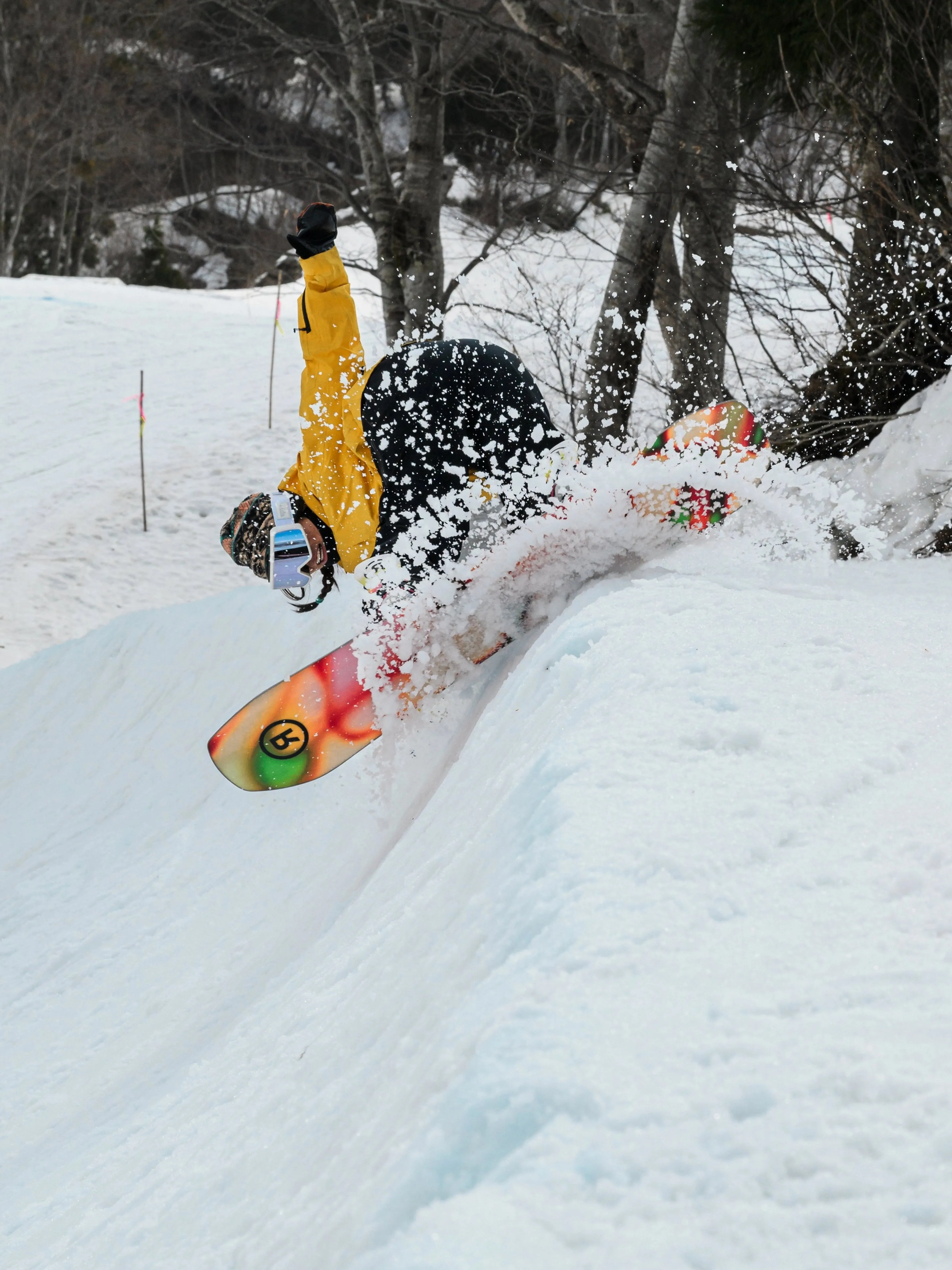 Moderator Snowboard - 2025
