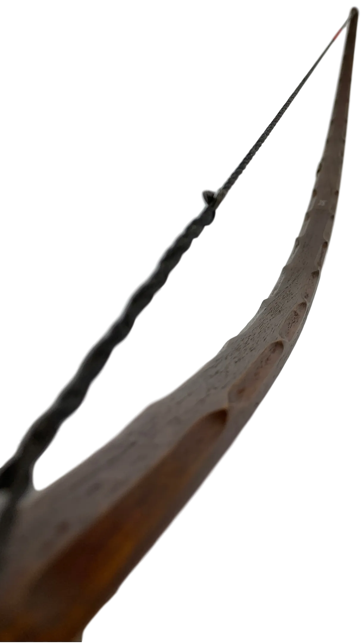 Oneida