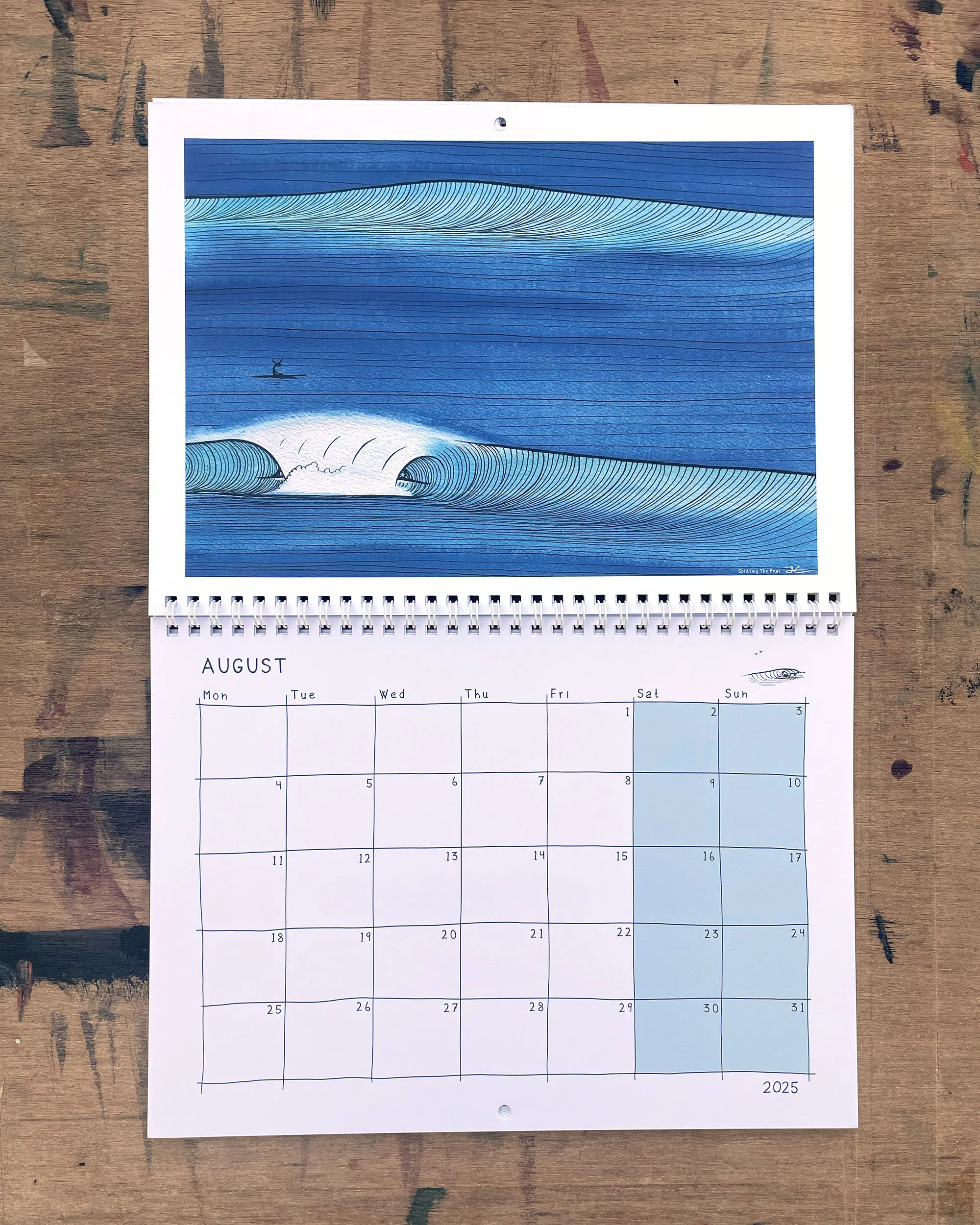Surfing Animals ABC/Magic Trip Books & The 2025 Calendar Bundle