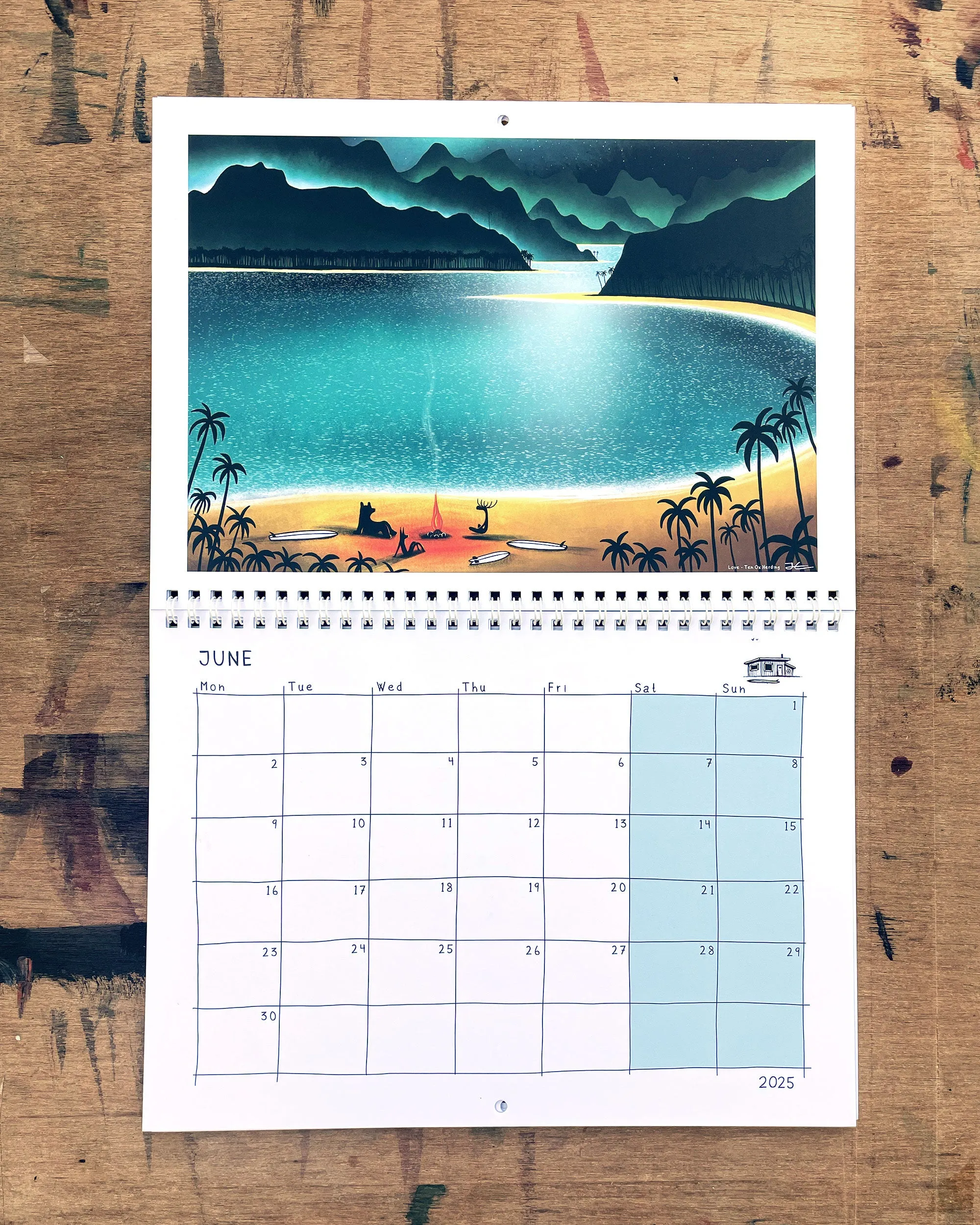 Surfing Animals ABC/Magic Trip Books & The 2025 Calendar Bundle