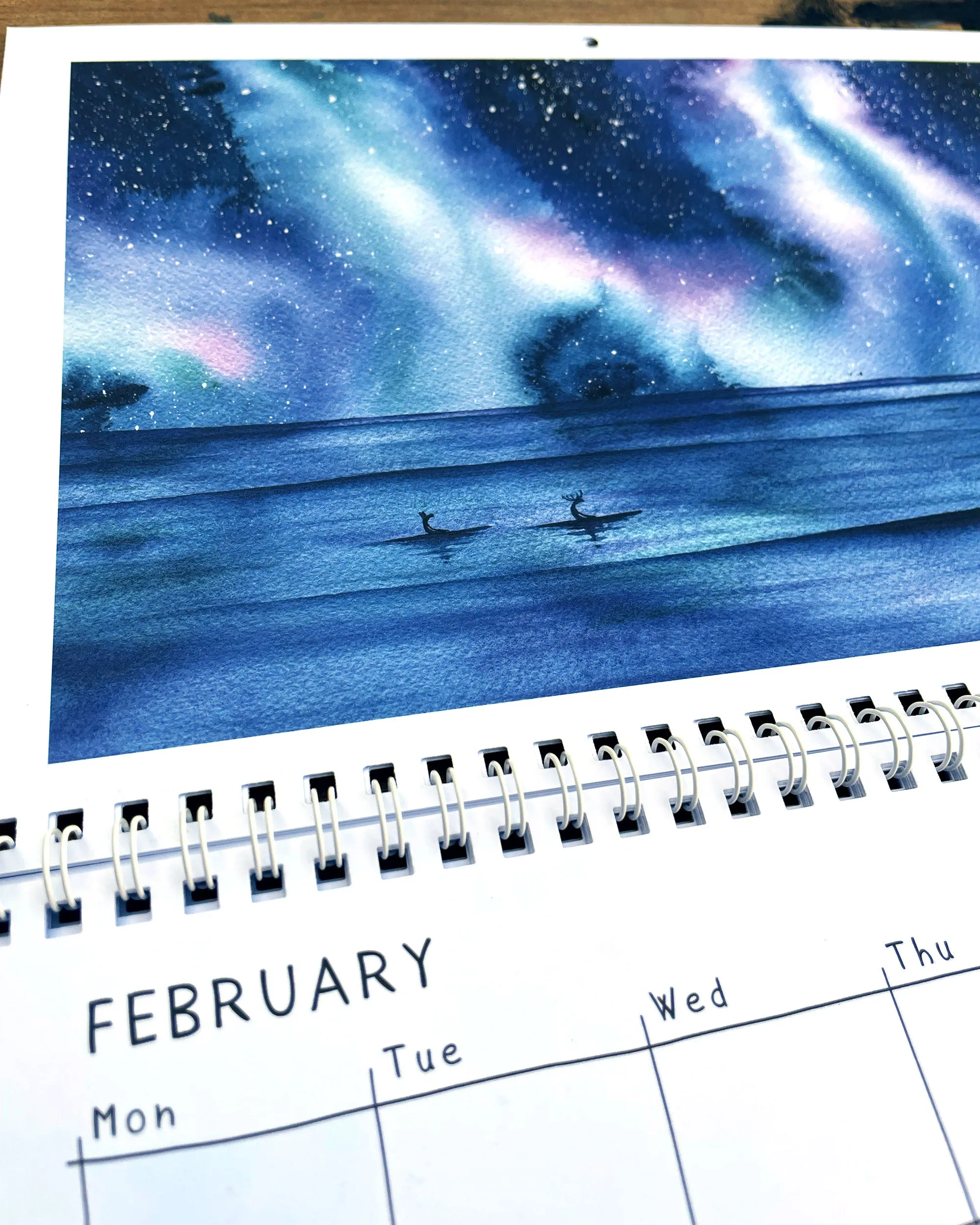 Surfing Animals ABC/Magic Trip Books & The 2025 Calendar Bundle