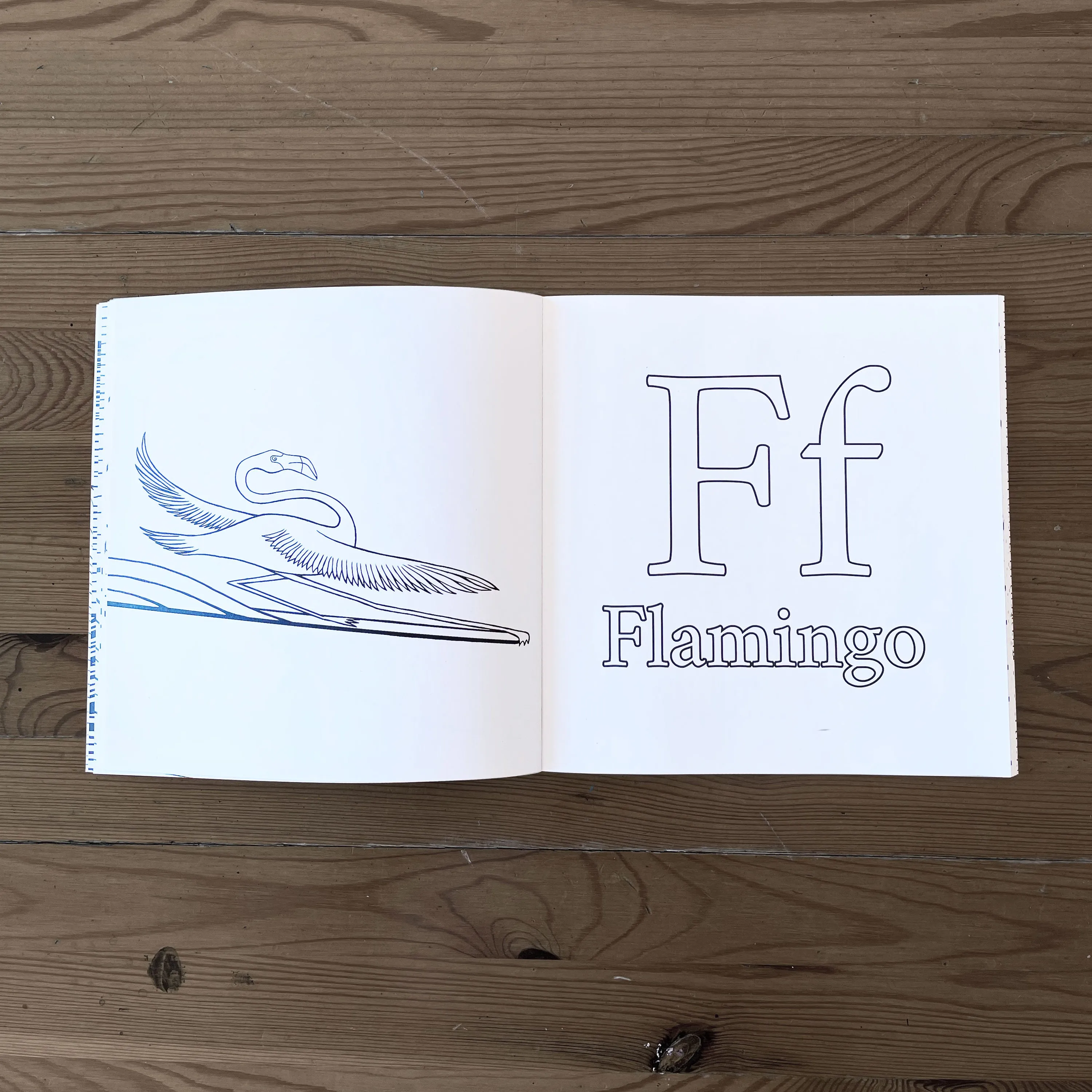 The Surfing Animals Alphabet Coloring Book