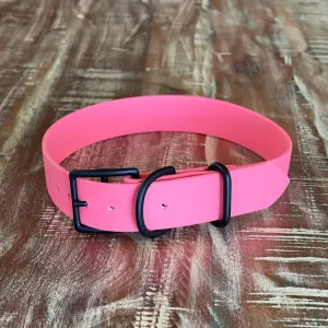 Waterproof Buckle Collar : Coral   Black
