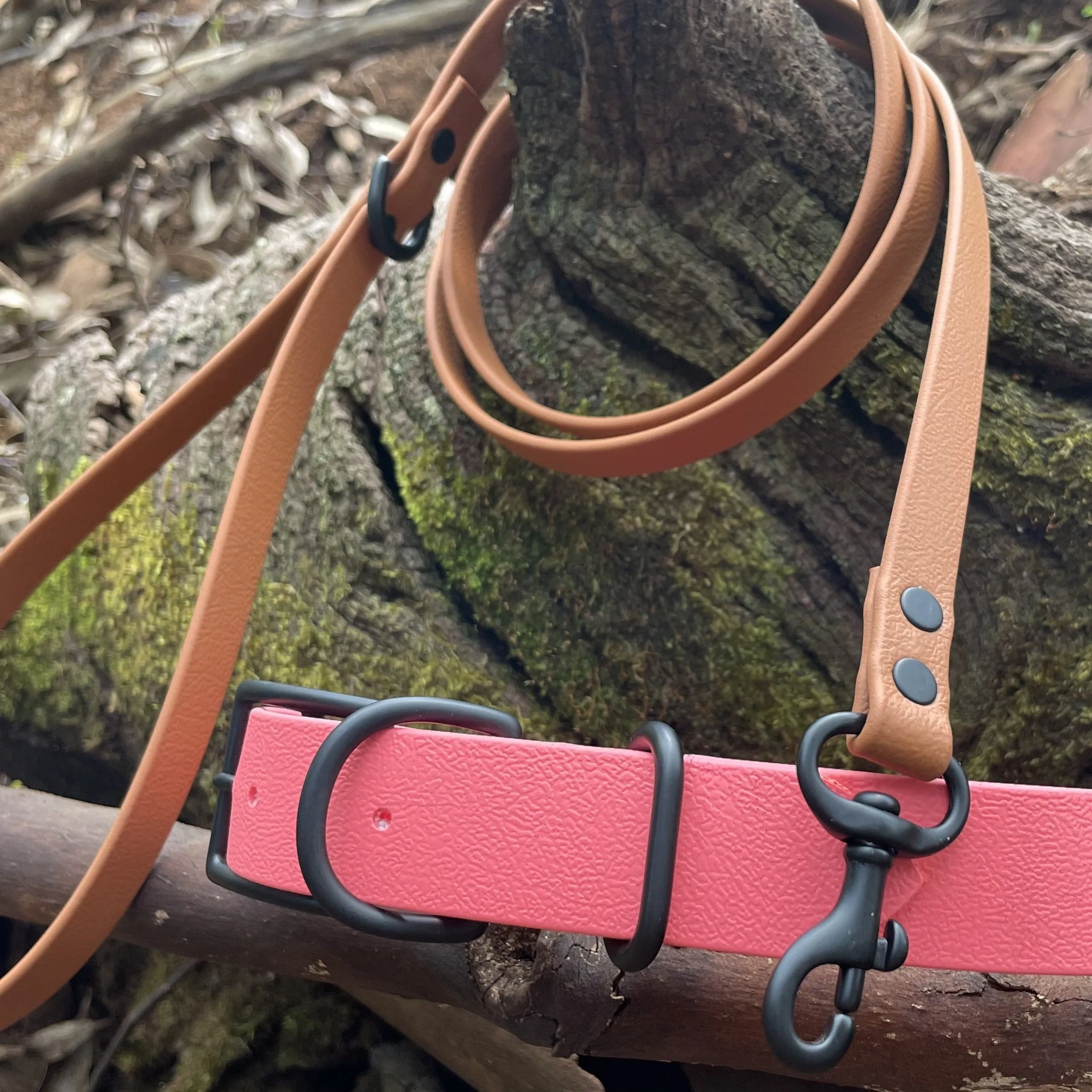 Waterproof Buckle Collar : Coral   Black