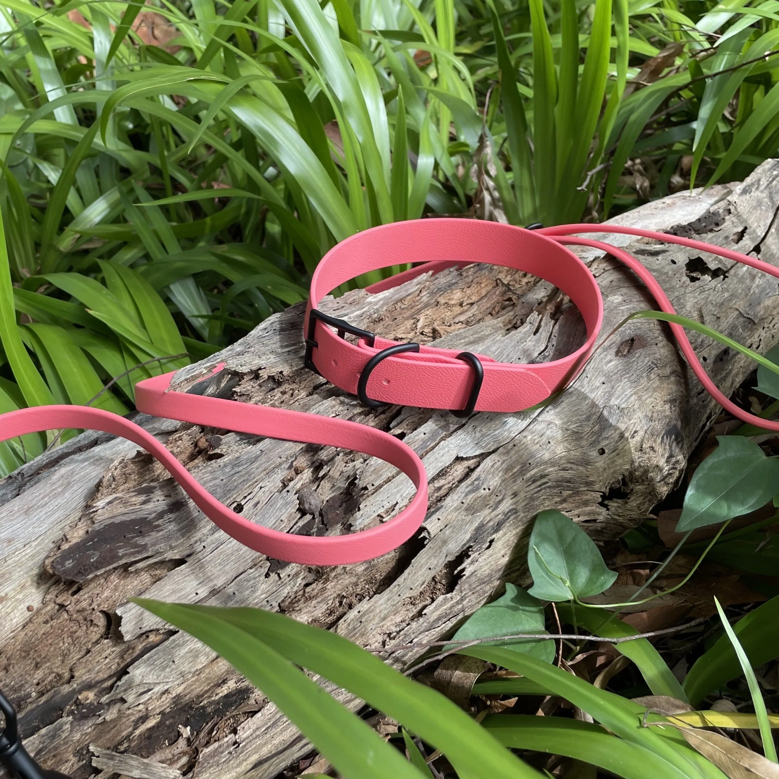 Waterproof Buckle Collar : Coral   Black