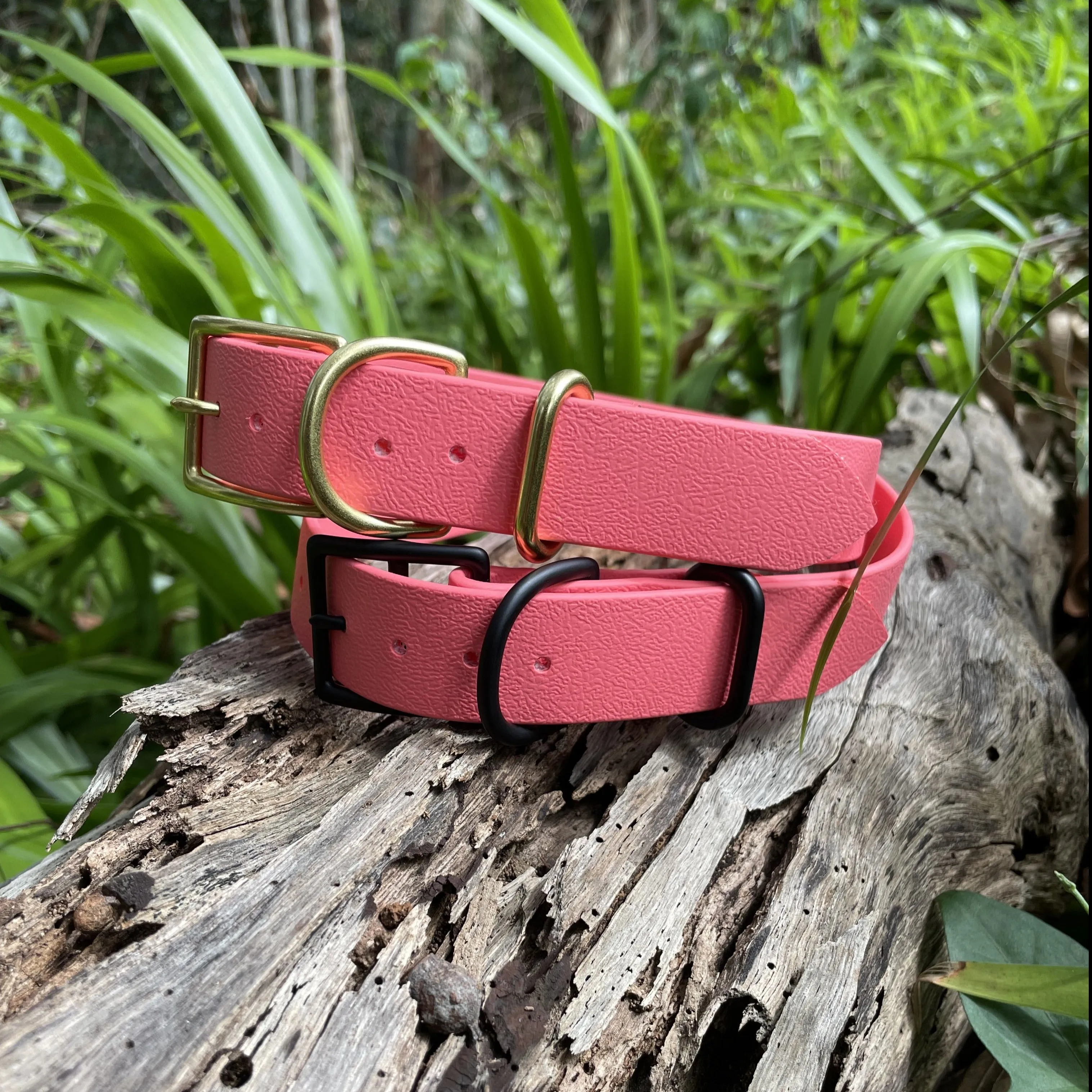 Waterproof Buckle Collar : Coral   Black
