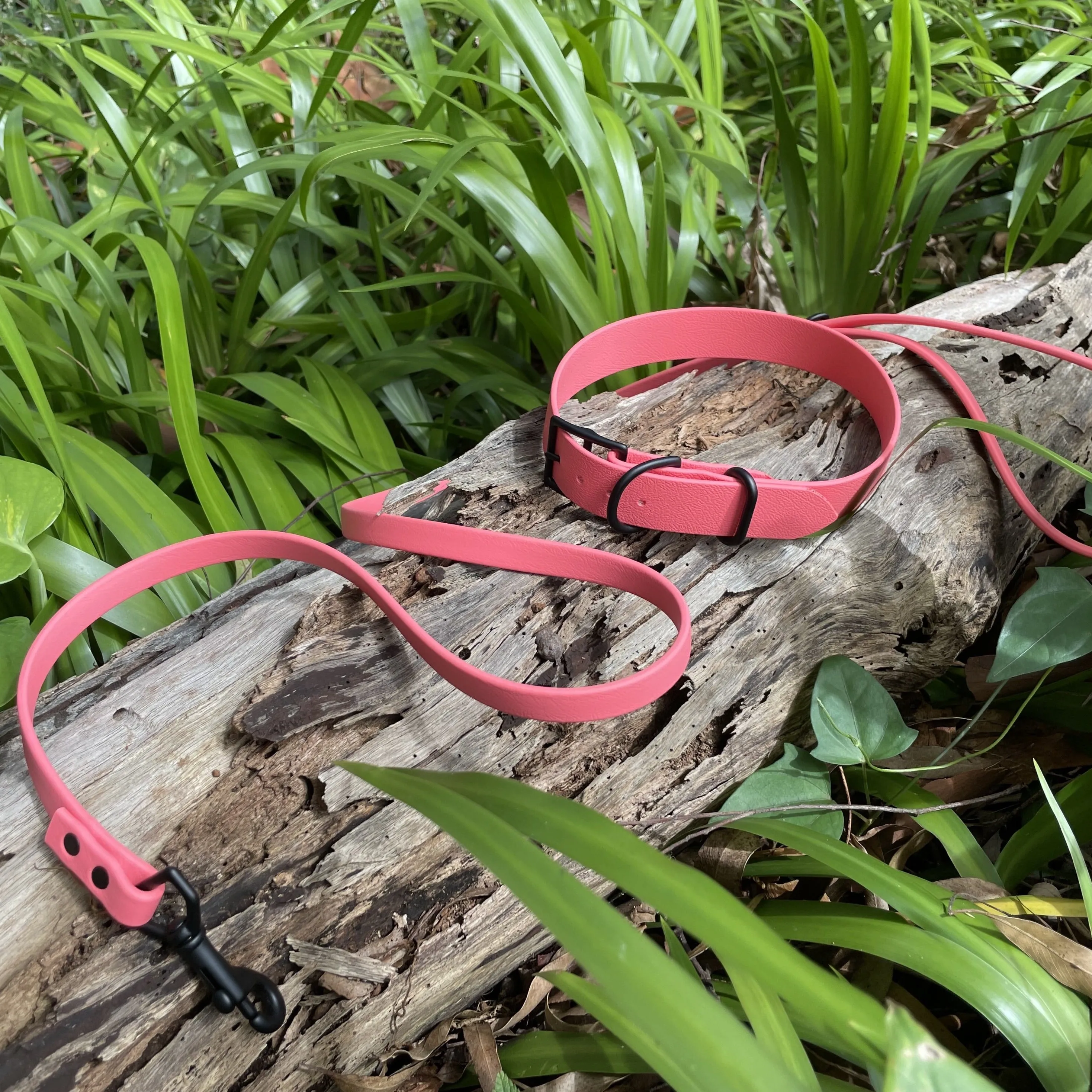 Waterproof Leash (Lightweight) : Coral   Black